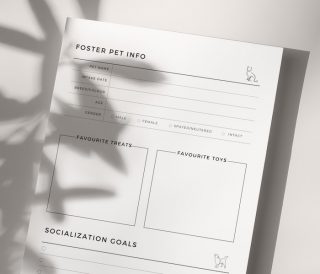 Foster Pet Planner – Onwards + Upwards
